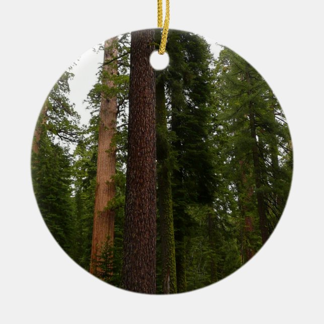 Mariposa Grove in Yosemite National Park Ceramic Tree Decoration (Front)