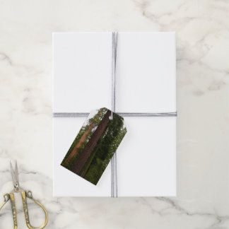 Mariposa Grove in Yosemite National Park Gift Tags
