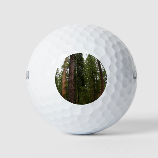 Mariposa Grove in Yosemite National Park Golf Balls (Front)