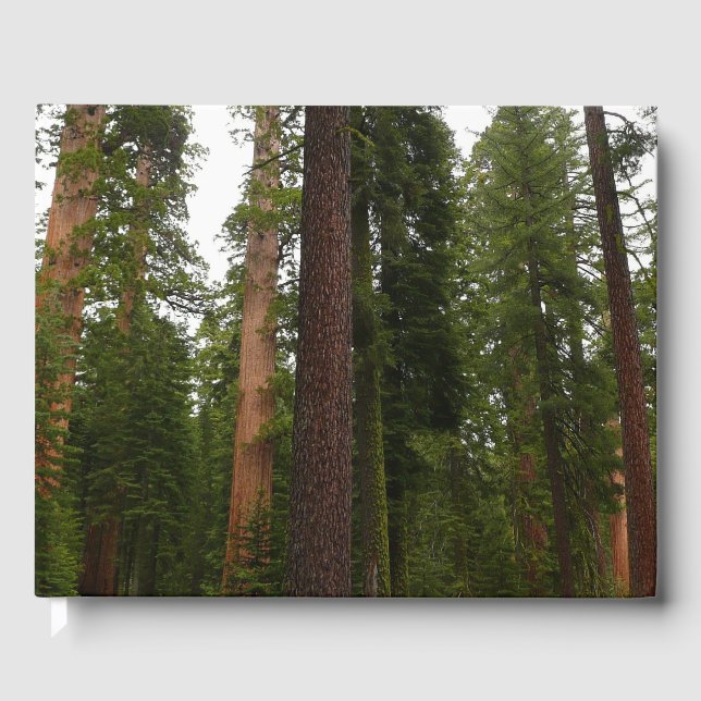 Mariposa Grove in Yosemite National Park Guest Book (Front)