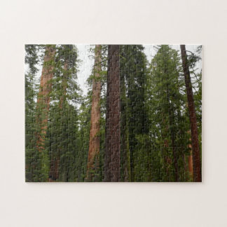 Mariposa Grove in Yosemite National Park Jigsaw Puzzle