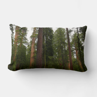 Mariposa Grove in Yosemite National Park Lumbar Cushion
