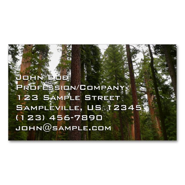 Mariposa Grove in Yosemite National Park Magnetic Business Card (Front)