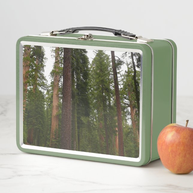 Mariposa Grove in Yosemite National Park Metal Lunch Box (In Situ)