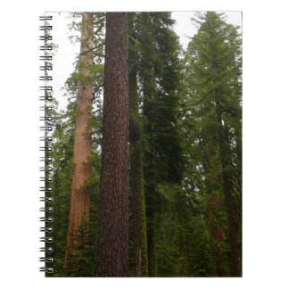 Mariposa Grove in Yosemite National Park Notebook