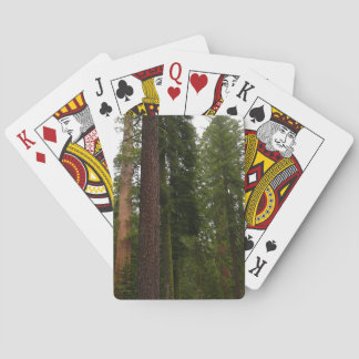 Mariposa Grove in Yosemite National Park Playing Cards