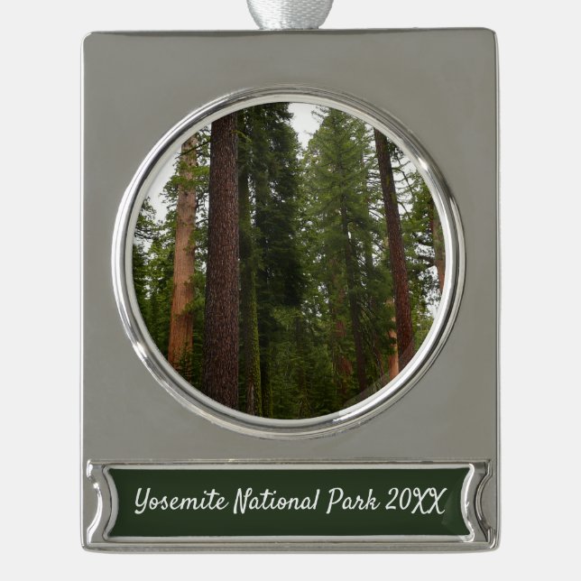 Mariposa Grove in Yosemite National Park Silver Plated Banner Ornament (Front)