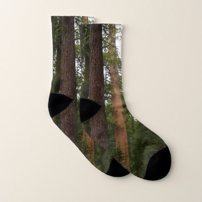 Mariposa Grove in Yosemite National Park Socks (Pair)