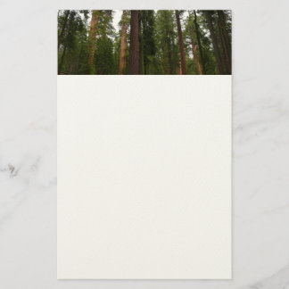 Mariposa Grove in Yosemite National Park Stationery