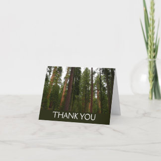 Mariposa Grove in Yosemite National Park Thank You Card