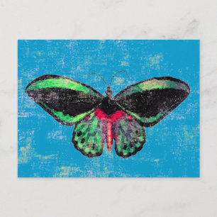 Mariposa ~ Postcard / Invitation