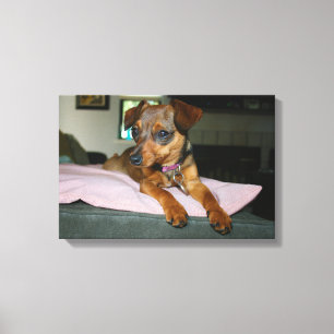 Marisol portrait canvas print