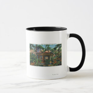Mark Twain's Study at Quarry Farm, East Hill Mug