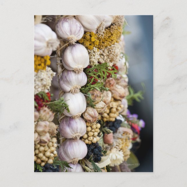 Market in Wroclaw, Poland Postcard (Front)