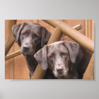 MARKS GALLERY POSTER