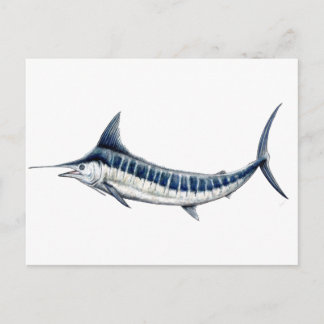 Marlin azul-redbubble postcard