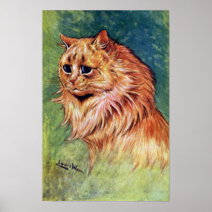 Marmalade Cat with Blue Eyes Poster