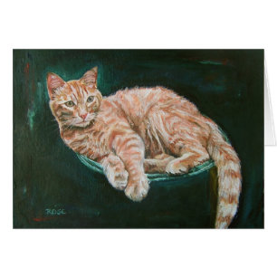 marmalade kitty
