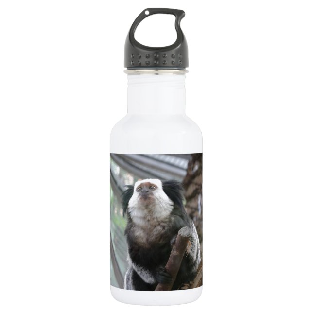 Marmoset 532 Ml Water Bottle (Front)