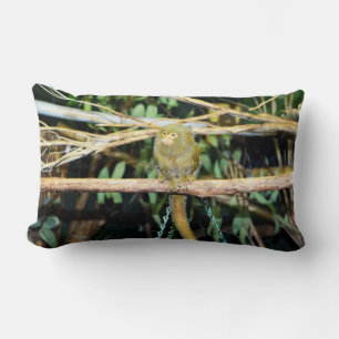 Marmoset Monkey Sitting On Branch, Lumbar Cushion