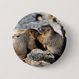marmot 6 cm round badge