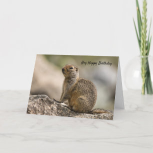 Marmot Birthday Card