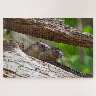 Marmot Brothers Jigsaw Puzzle