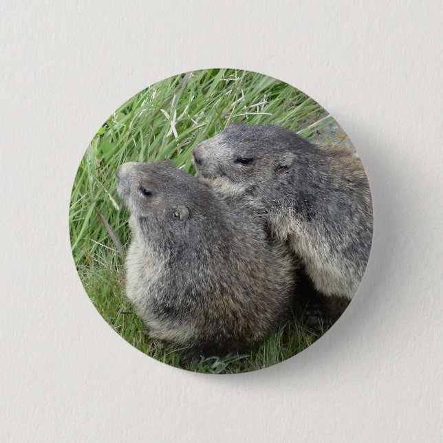 Marmot button (Front)