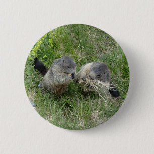 Marmot button