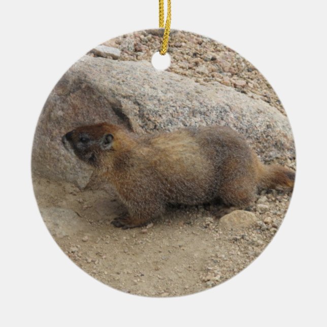 Marmot Ceramic Tree Decoration (Front)