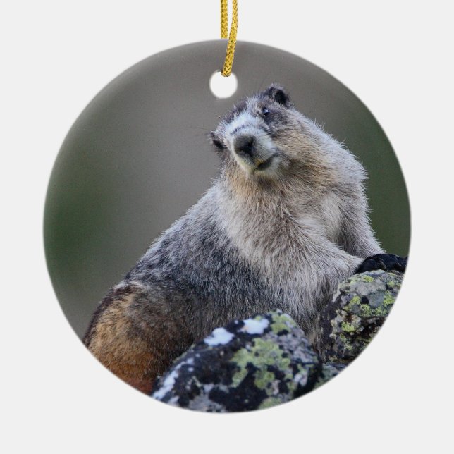 marmot ceramic tree decoration (Front)