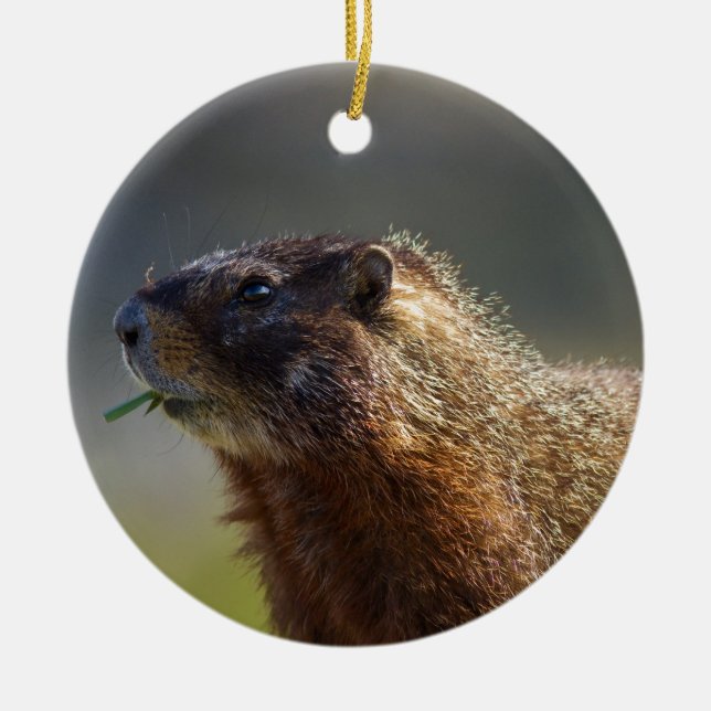 Marmot Ceramic Tree Decoration (Front)