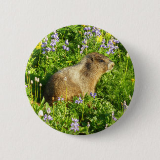 Marmot in Mount Rainier Wildflowers 6 Cm Round Badge