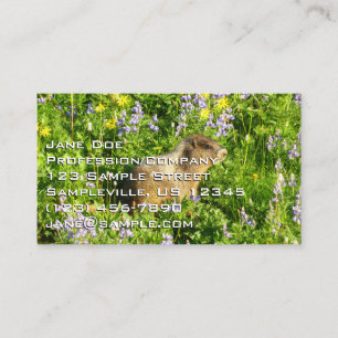 Marmot in Mount Rainier Wildflowers Business Card