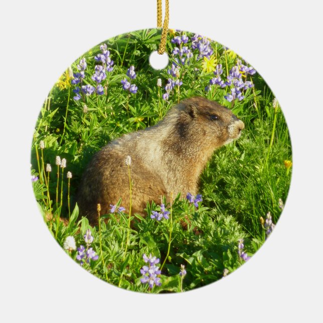 Marmot in Mount Rainier Wildflowers Ceramic Tree Decoration (Front)