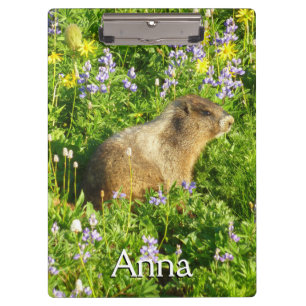 Marmot in Mount Rainier Wildflowers Clipboard