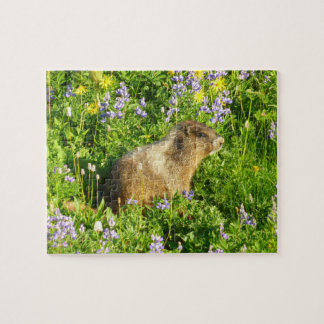 Marmot in Mount Rainier Wildflowers Jigsaw Puzzle