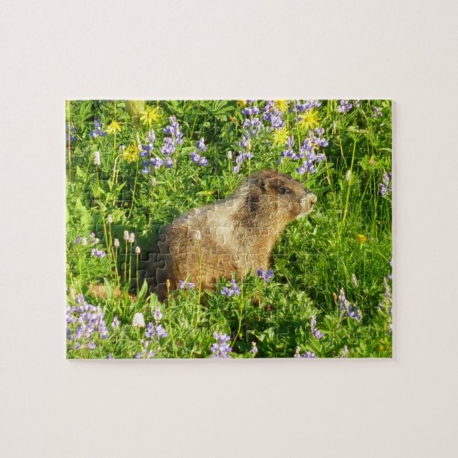 Marmot in Mount Rainier Wildflowers Jigsaw Puzzle (Horizontal)