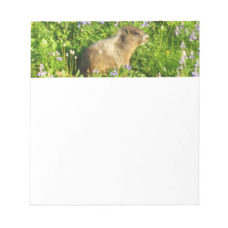 Marmot in Mount Rainier Wildflowers Notepad