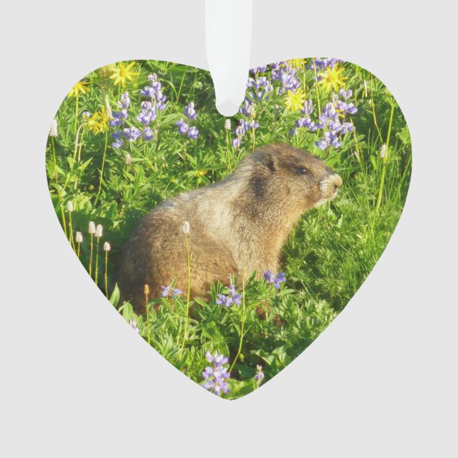 Marmot in Mount Rainier Wildflowers Ornament (Front)