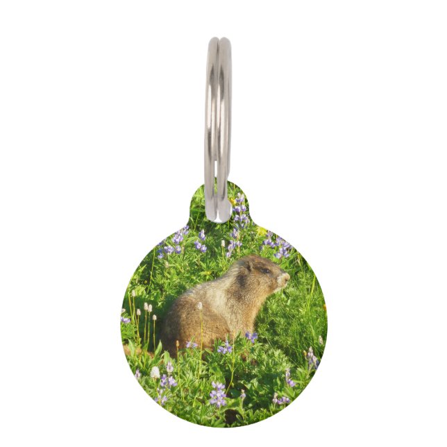 Marmot in Mount Rainier Wildflowers Pet Tag (Front)