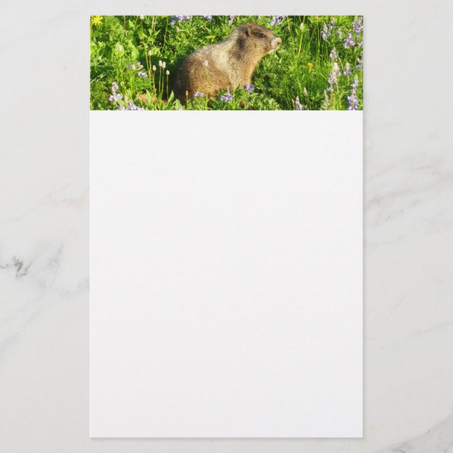 Marmot in Mount Rainier Wildflowers Stationery (Front)