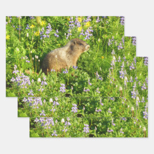 Marmot in Mount Rainier Wildflowers Wrapping Paper Sheet