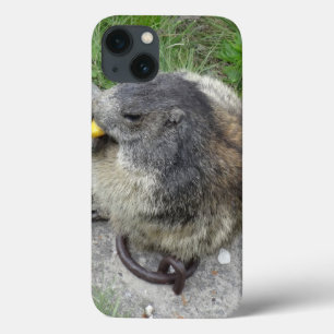Marmot iPad cases