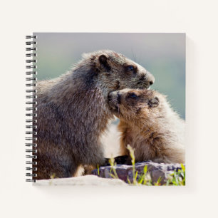 Marmot Mother with Baby Notebook