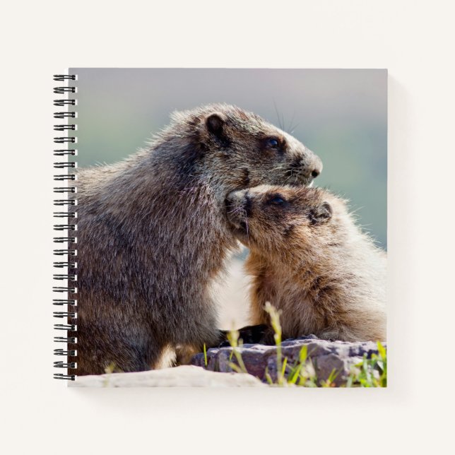Marmot Mother with Baby Notebook (Front)