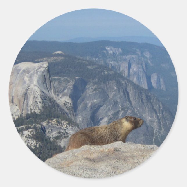 Marmot Overlooking Half Dome from Clouds Rest - Yo Classic Round Sticker (Front)