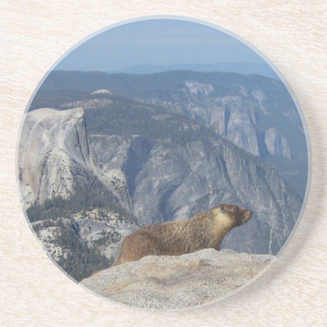 Marmot Overlooking Half Dome from Clouds Rest - Yo Coaster (Front)