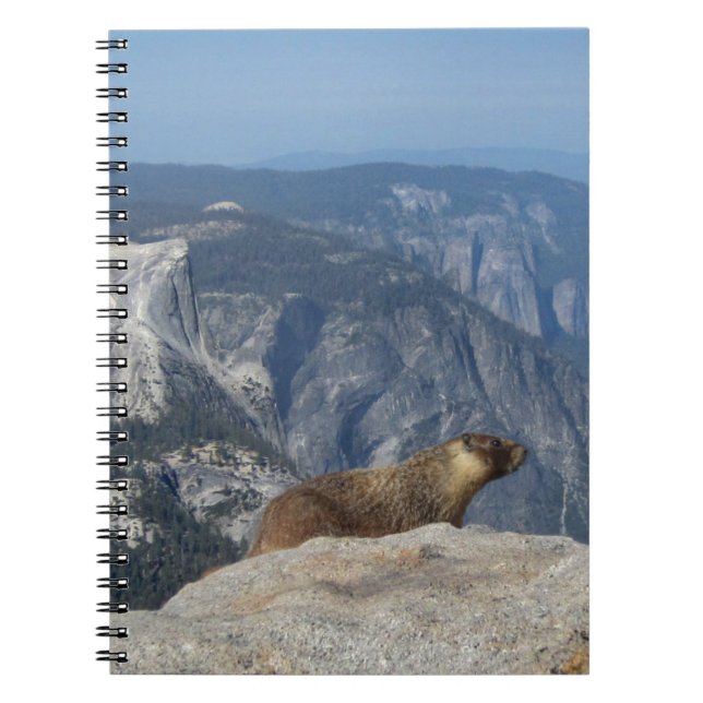 Marmot Overlooking Half Dome from Clouds Rest - Yo Spiral Notebook (Front)