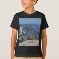 Marmot Overlooking Half Dome from Clouds Rest - Yo